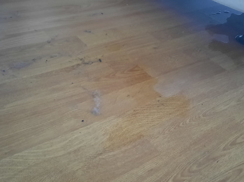 Les Merlettes & Le Merle Moqueur