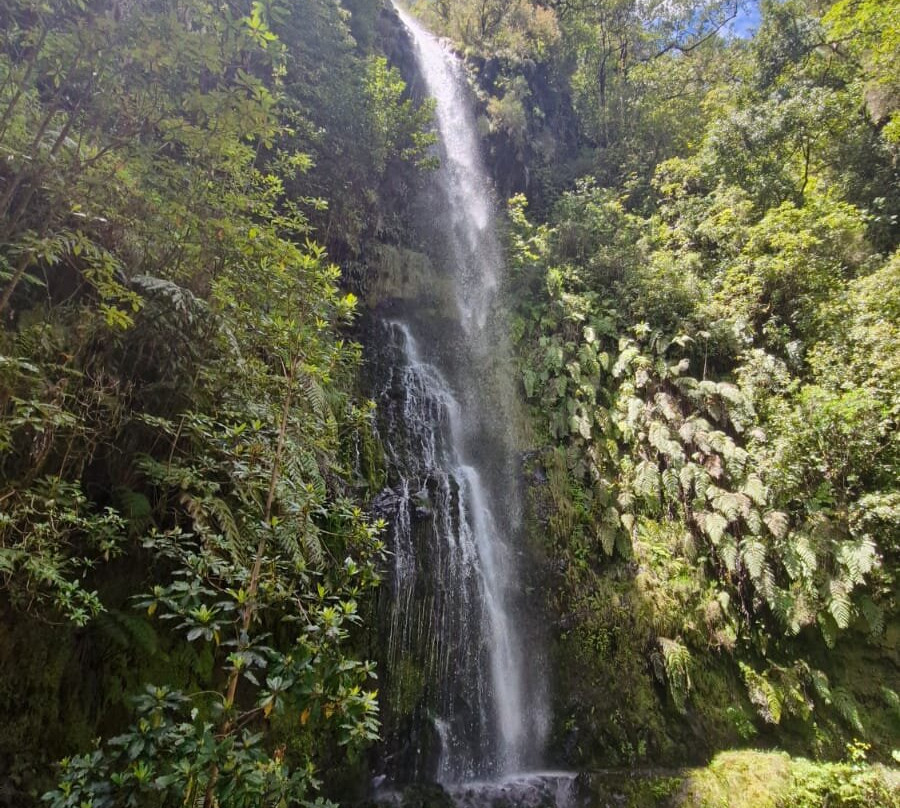 Levada Do Caldeirao Verde-Santana必去景点