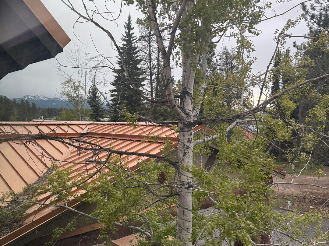 The Evergreen Hotel主图