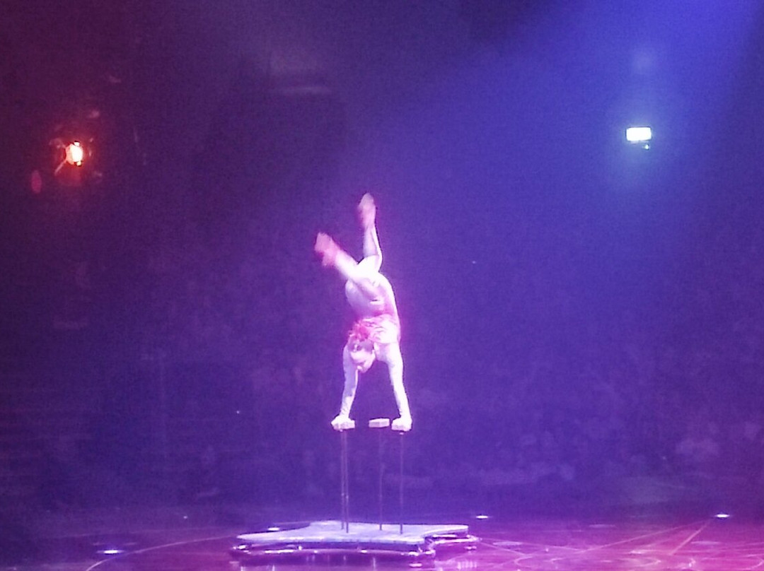 Alegría Cirque Du Soleil Milano Sesto景点图片