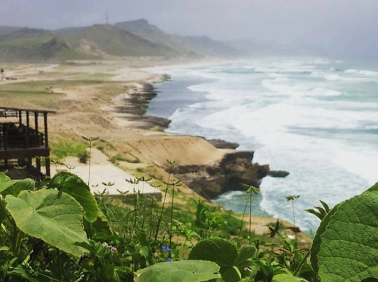 Ali nasser-塞拉莱必去景点