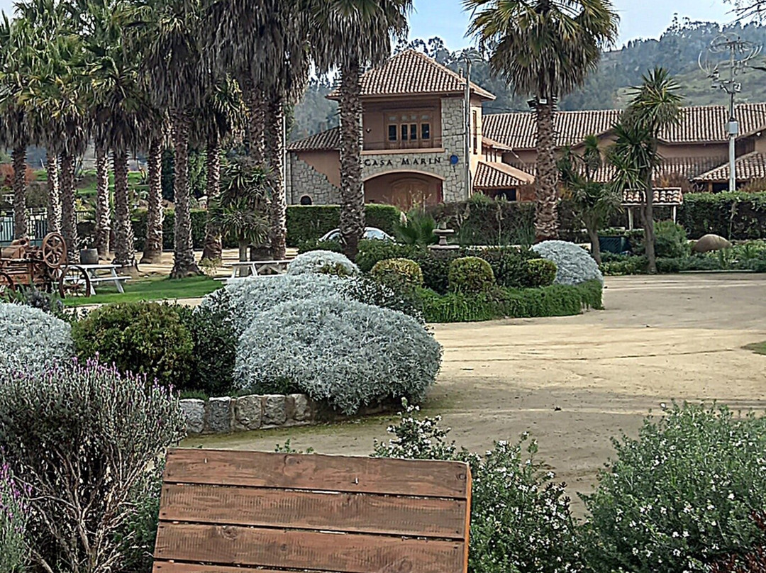 Casa Marin Winery-Lo Abarca必去景点