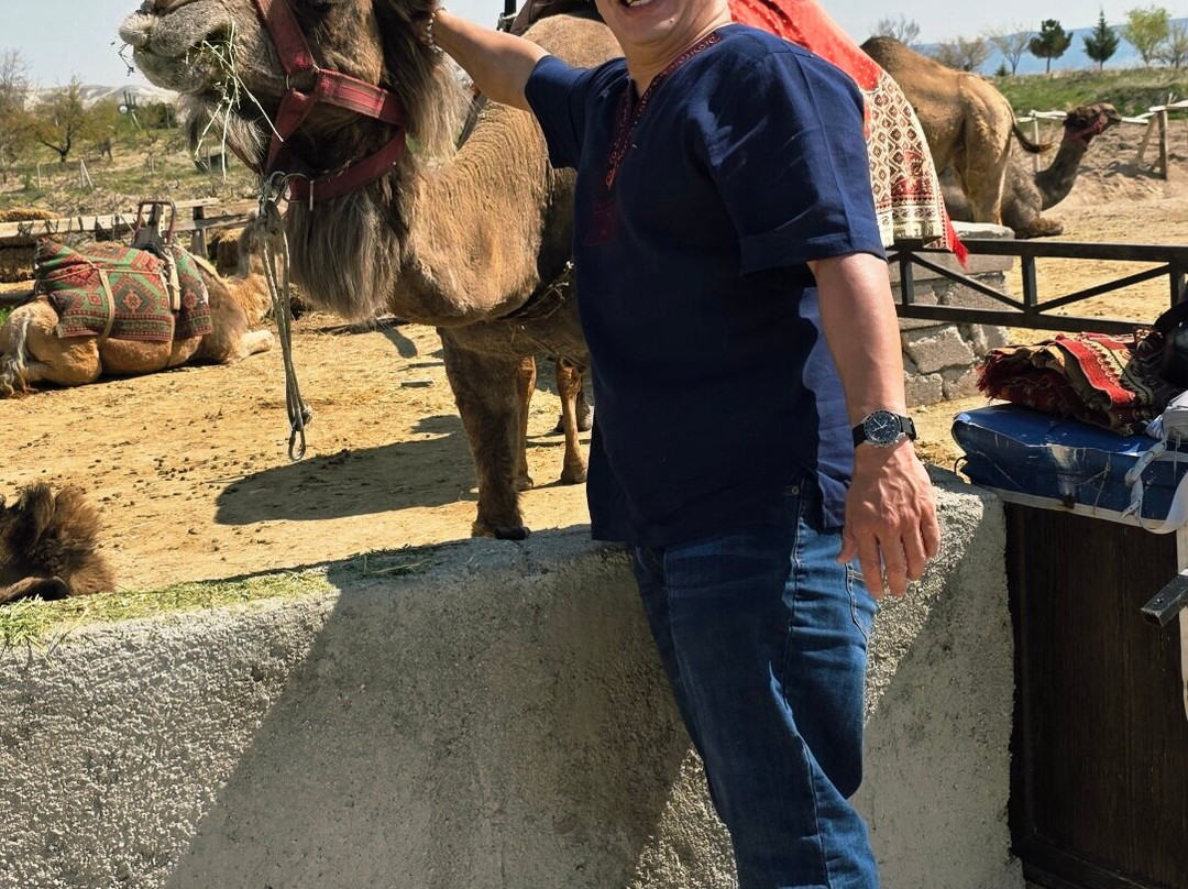 Savran Camel Safari-奥塔西萨必去景点