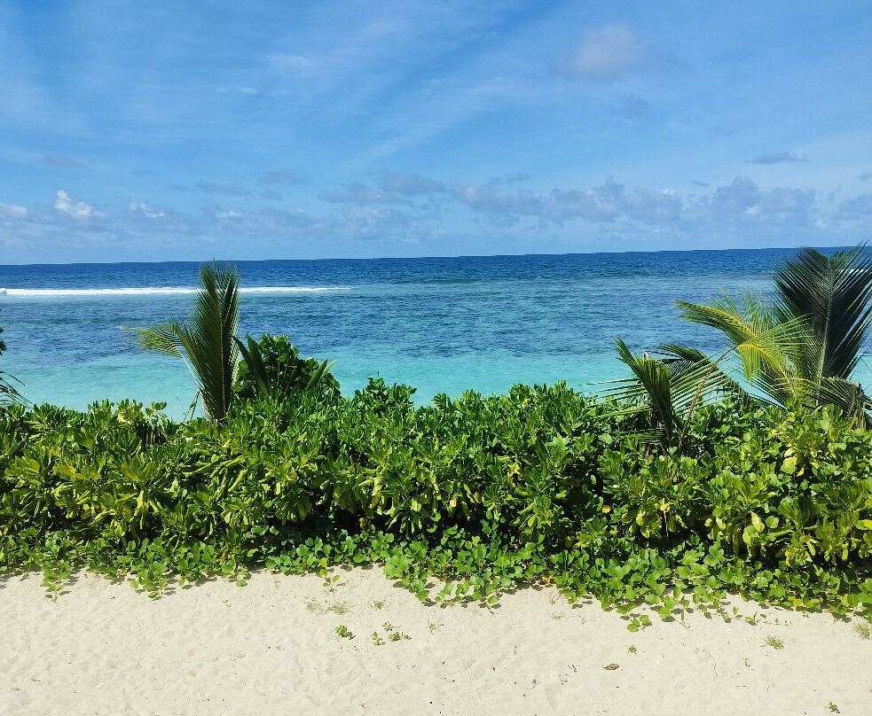 Seychelles Taxi Touring-Anse Louis必去景点