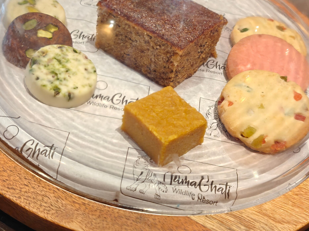 Aamaghati Wildlife Resort - Ranthambore主图