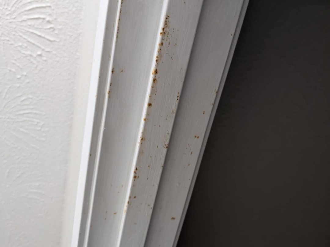 Microtel Inn & Suites主图