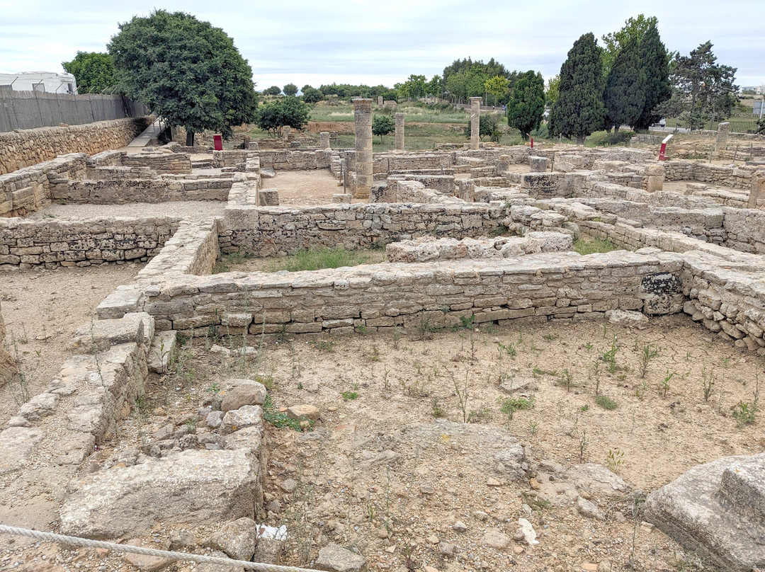 Ciutat Romana de Pollentia景点图片