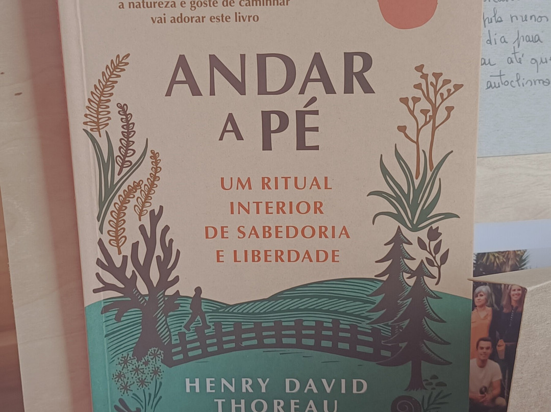 Alfa-flor Casa Y Jardín