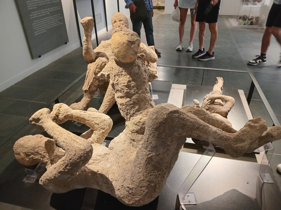 Pompei (moderna)-庞贝必去景点