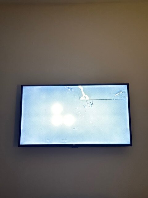 SpringHill Suites by Marriott Sarasota Bradenton主图