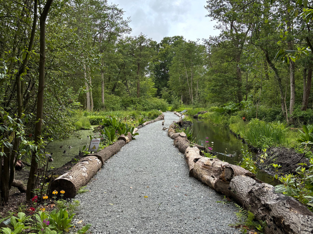Fairhaven Woodland and Water Garden景点图片