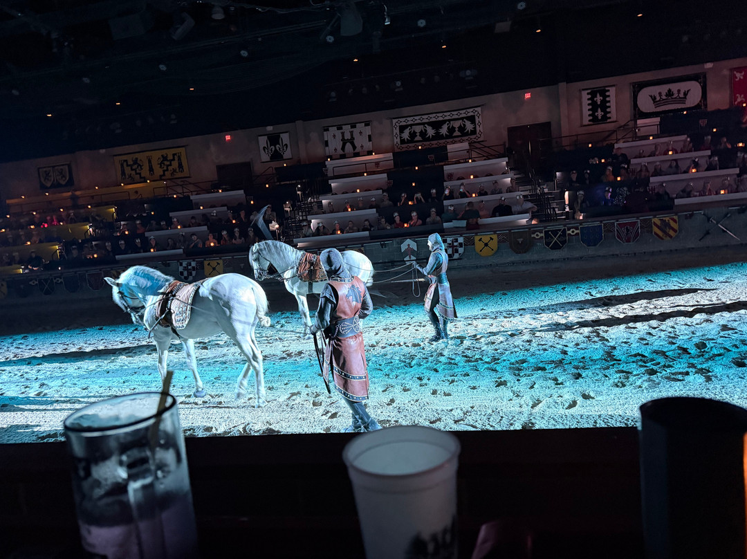 Medieval Times Maryland Castle-汉诺威必去景点