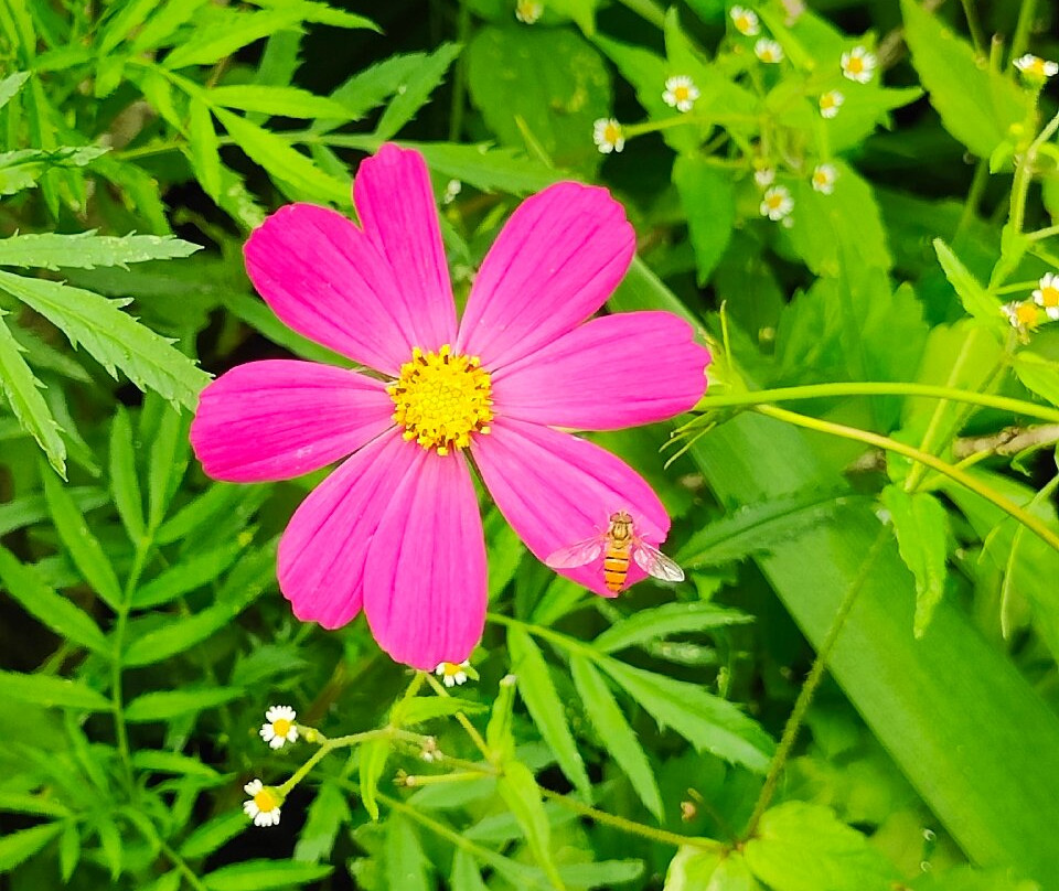 Tashigang Hotel主图