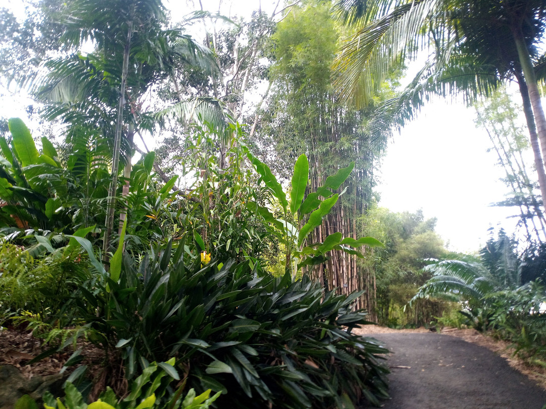 Bamboo Land Nursery & Parklands景点图片