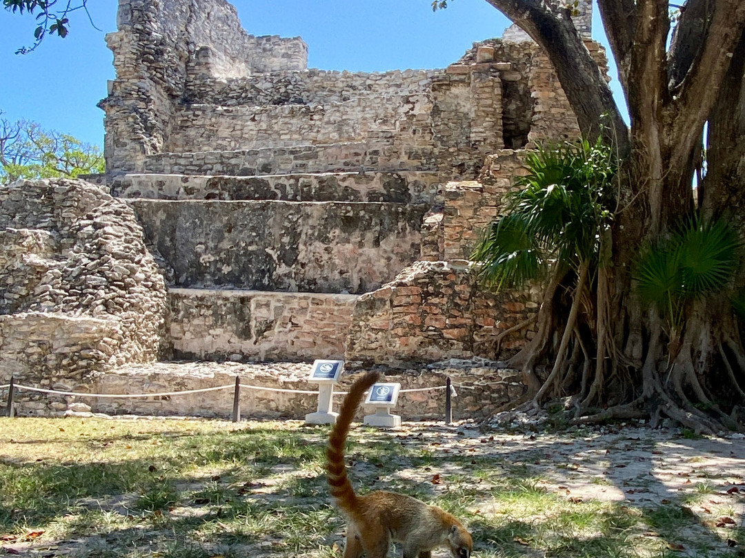 Zona Arqueologica El Meco-Puerto Juarez必去景点