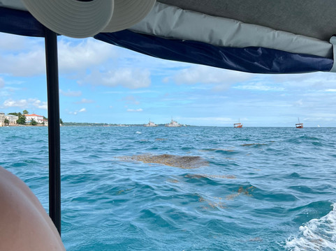 My experiences in Zanzibar-桑给巴尔岛必去景点