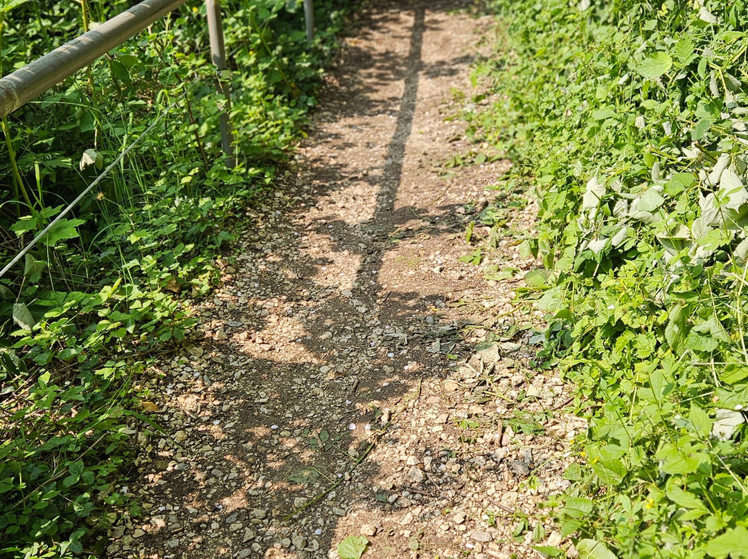 Rötteln Castle-罗拉克必去景点