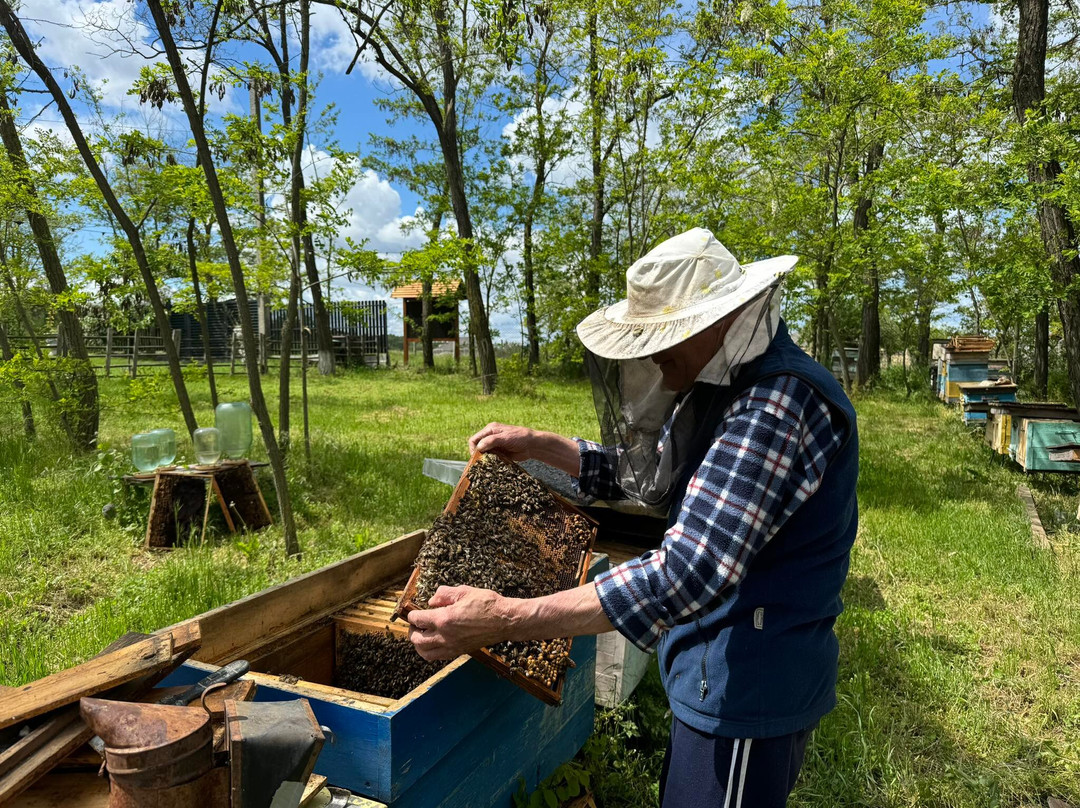 Agropensiunea La Prisaca