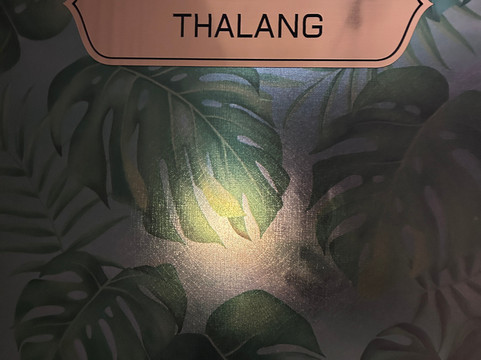 散萨拜按摩-芭东海滩必去景点