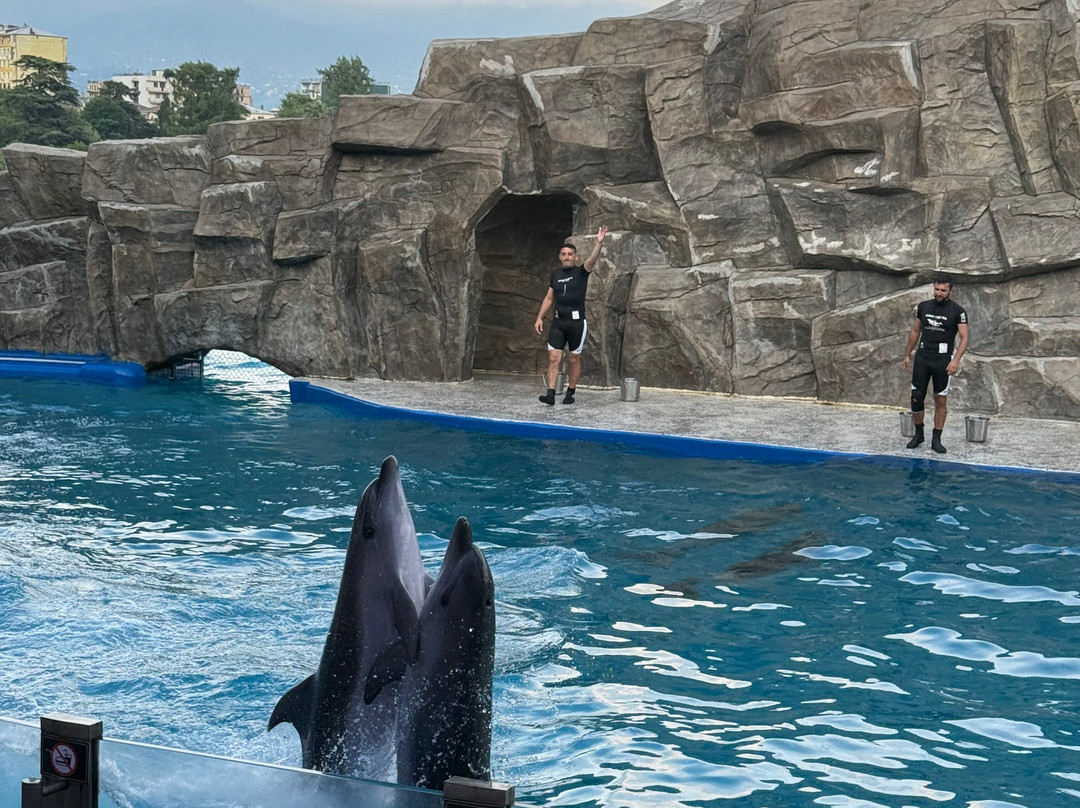 Batumi Dolphinarium-巴统必去景点