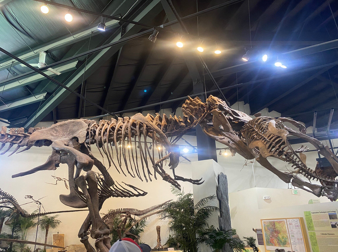Rocky Mountain Dinosaur Resource Center-Woodland Park必去景点