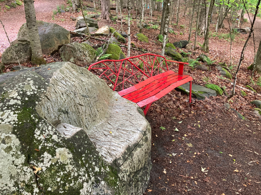 Haliburton Sculpture Forest景点图片