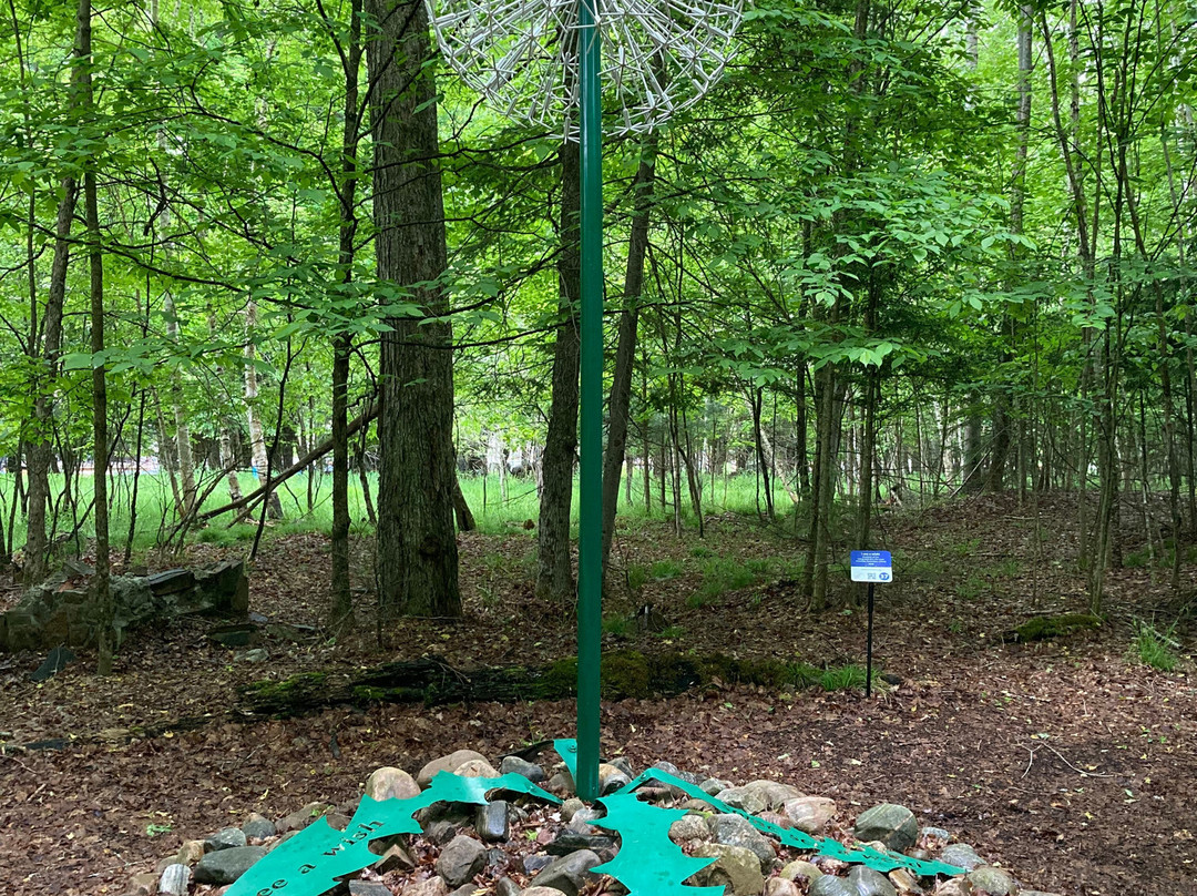 Haliburton Sculpture Forest景点图片
