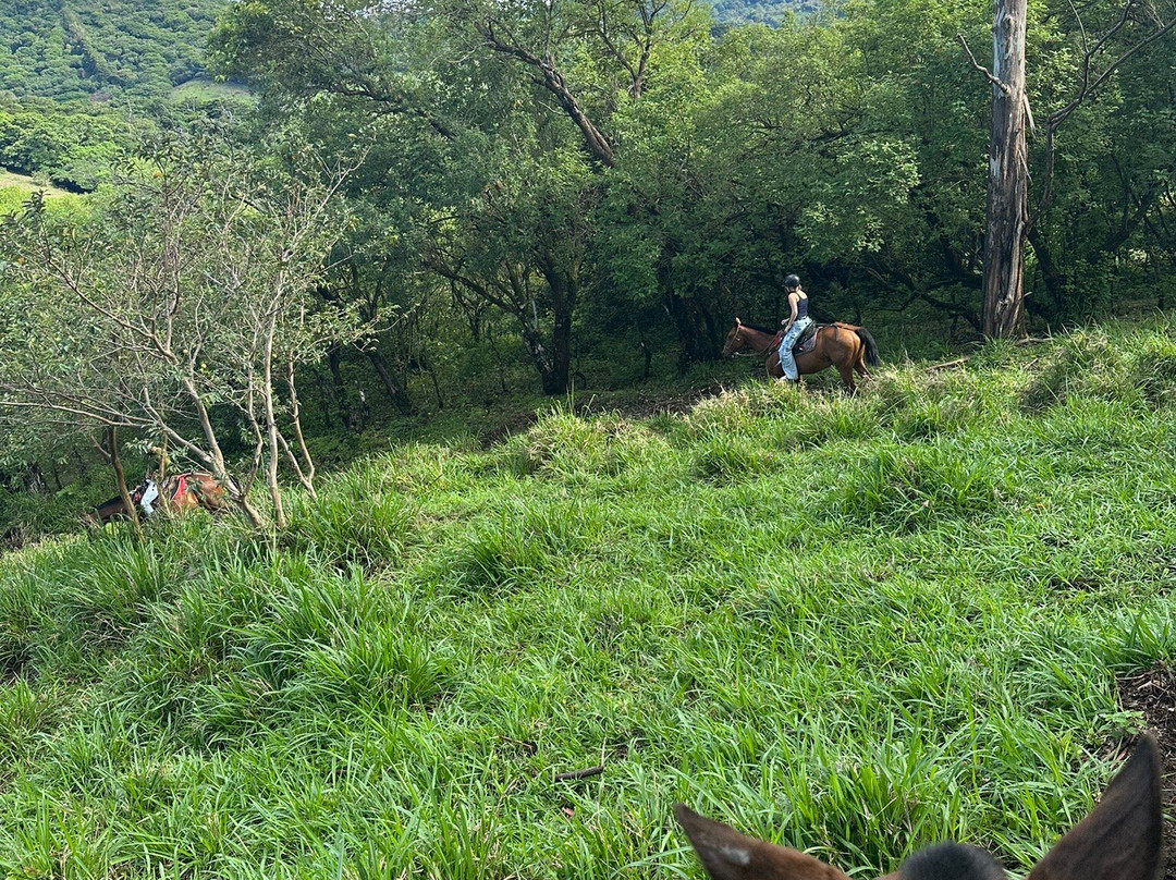 Equus Monteverde-Alto Cebadilla必去景点