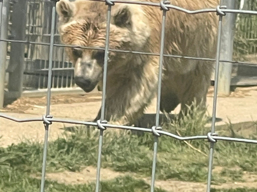 Hamerton Zoo Park-Sawtry必去景点