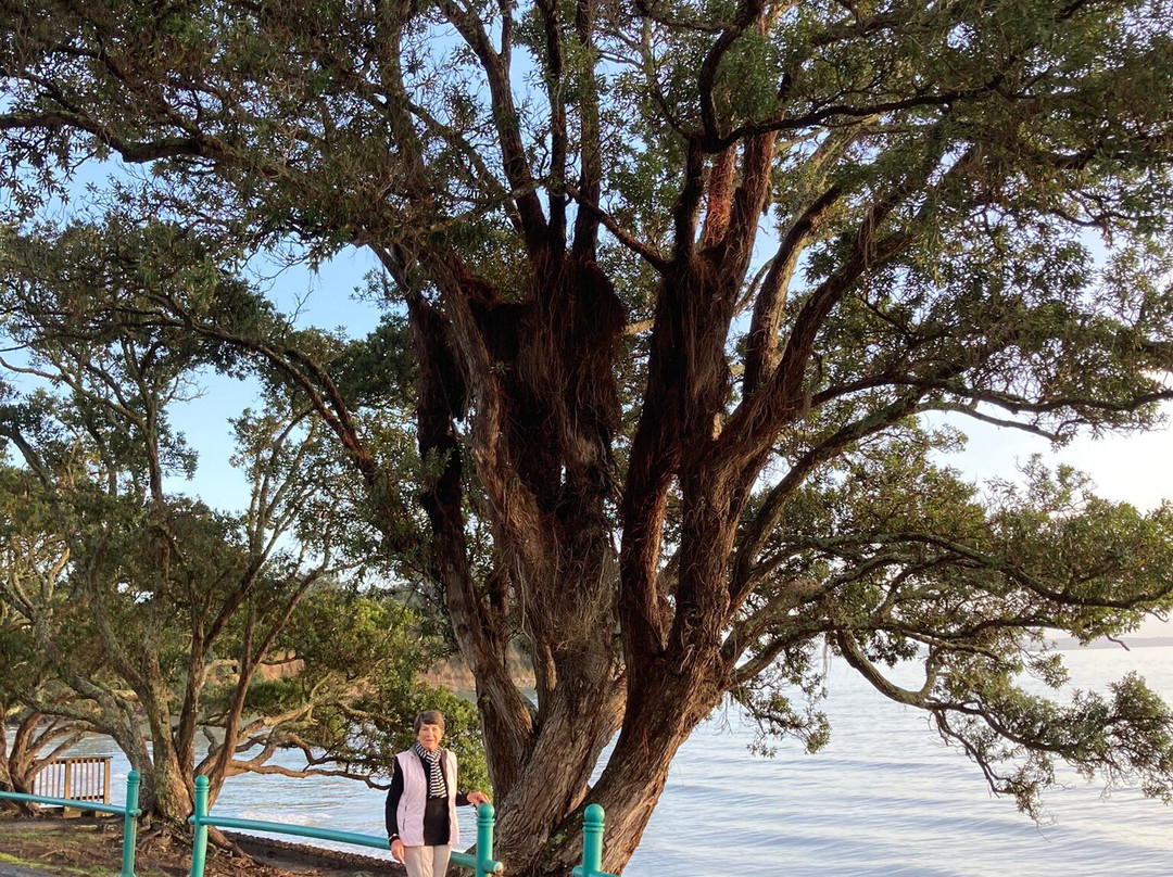 Cockle Bay Reserve-Cockle Bay必去景点