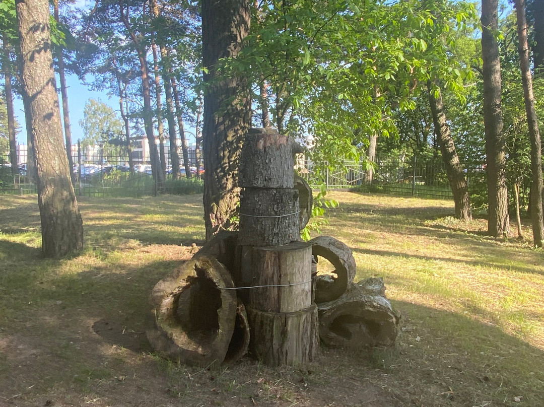 Zelenogorsk Recreation Park景点图片