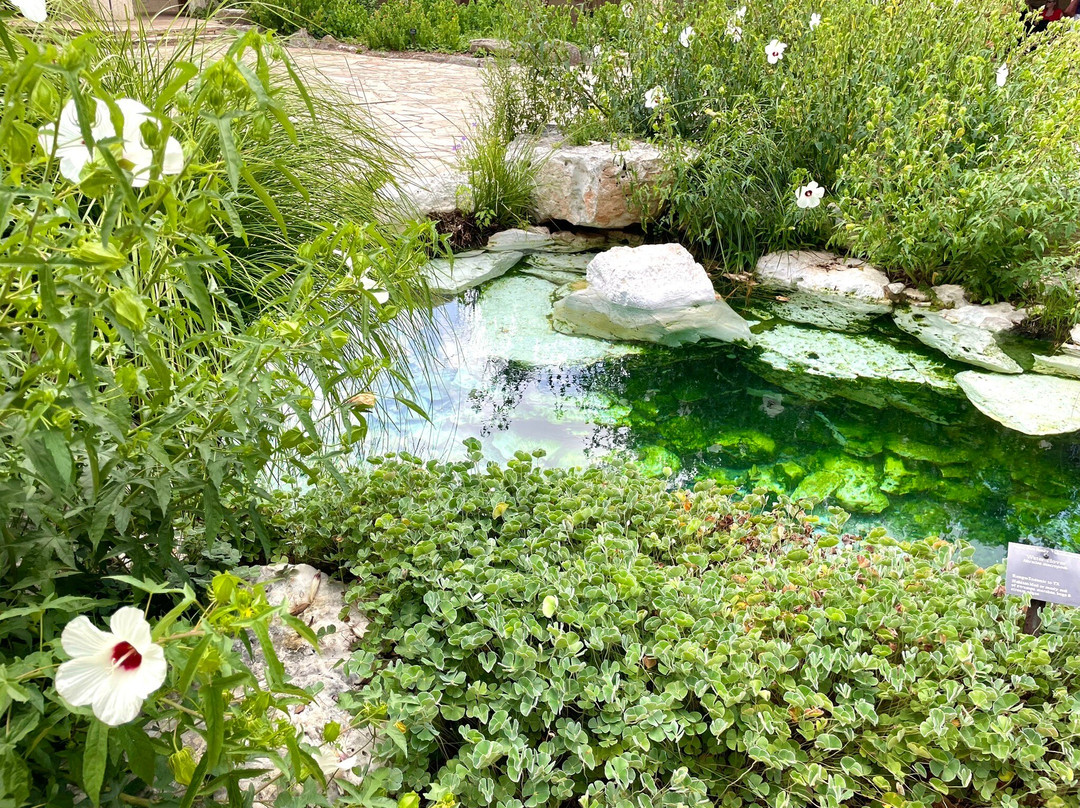 伯德约翰逊夫人野花中心-奥斯丁必去景点