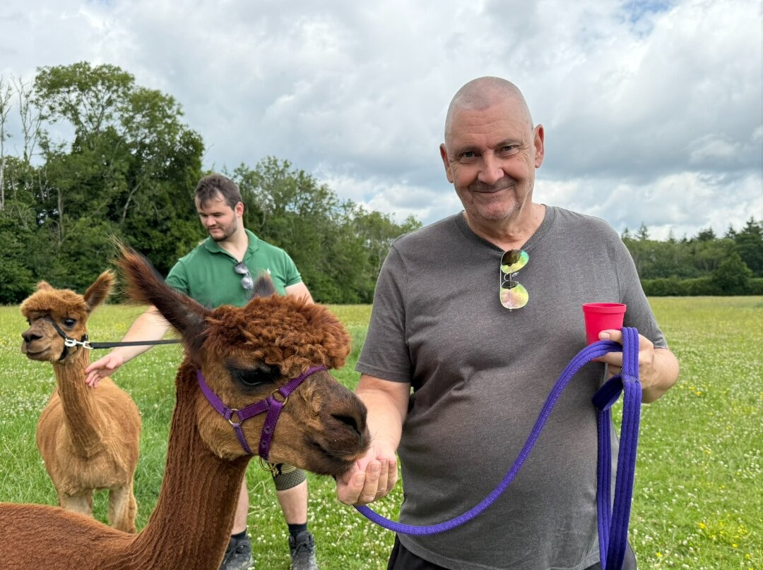 Alpaca Walking - With Spring Farm Alpacas-Fletching必去景点