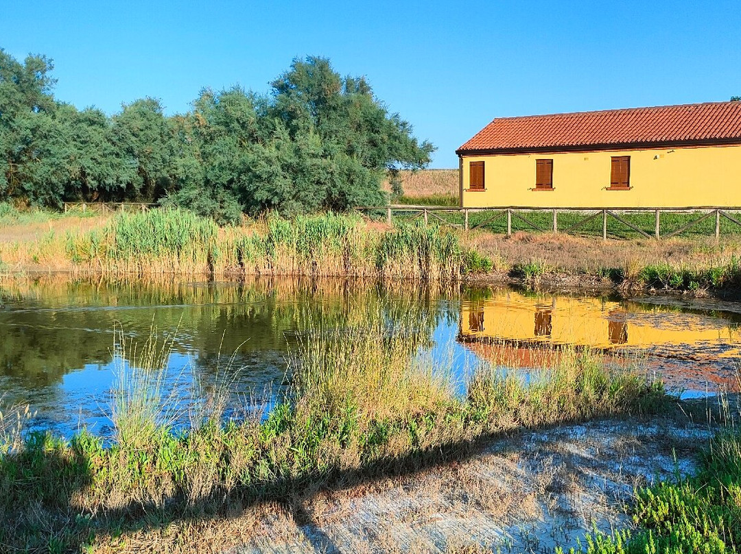 Oasi di Cà Mello-Porto Tolle必去景点