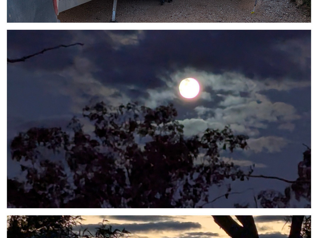 Lightning Ridge Outback Resort & Caravan Park主图