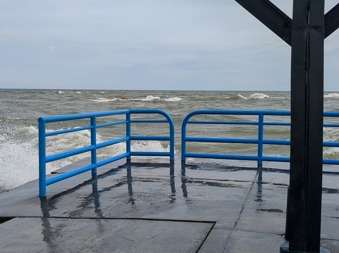 Tiscornia Park-Saint Joseph必去景点