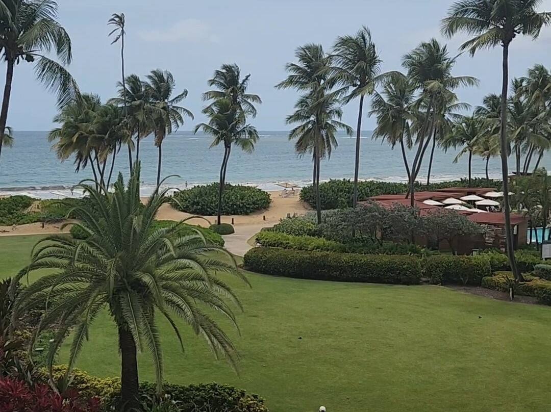 Margaritaville Vacation Club At Wyndham Rio Mar主图