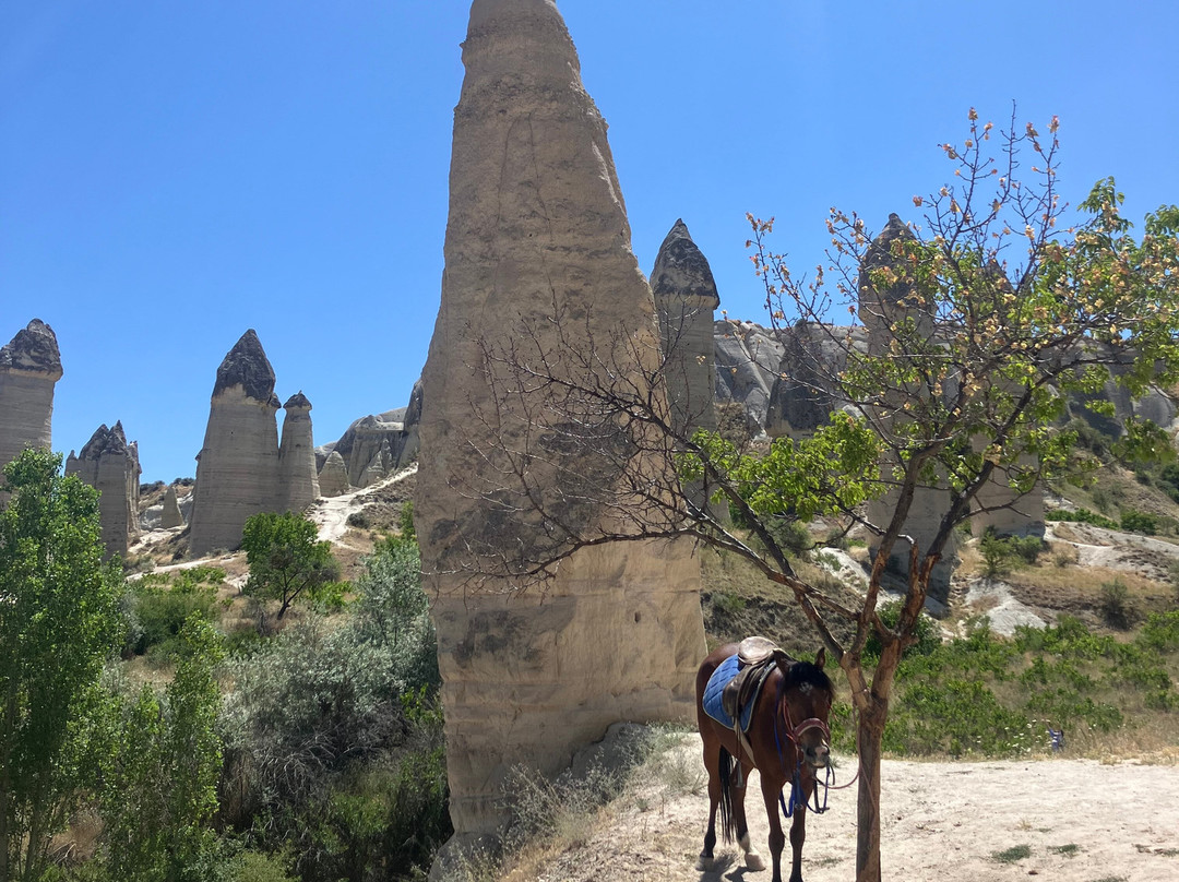 Çavuşin Ateş Horse Ranch-卡帕多细亚必去景点