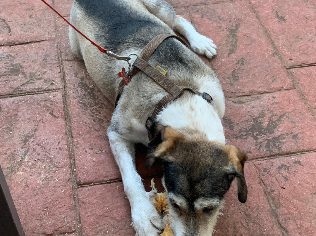 El Lagar Del Vero主图