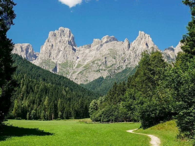 Parco Naturale Paneveggio Pale di San Martino-Tonadico必去景点
