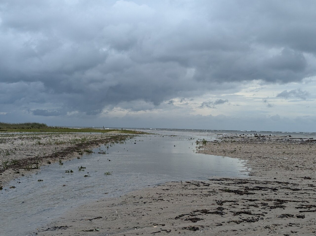 Flag Ponds Nature Park-Lusby必去景点