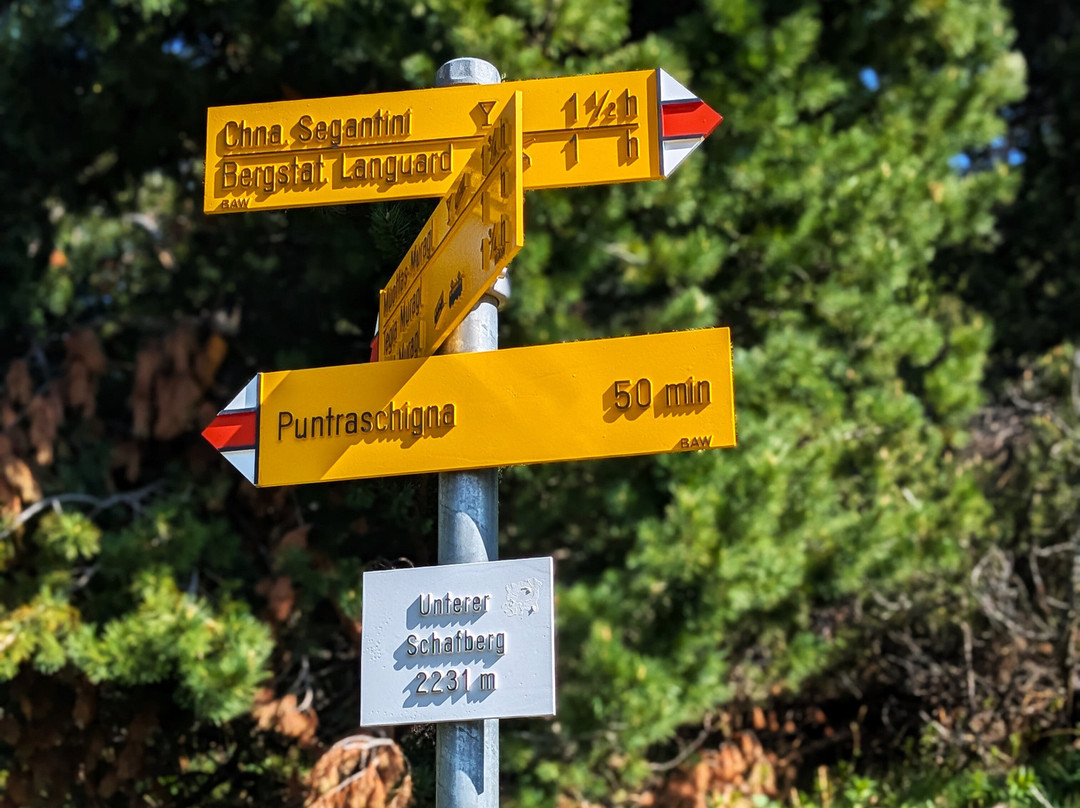Höhenweg Muottas Muragl . Alp Languard-Pontresina必去景点