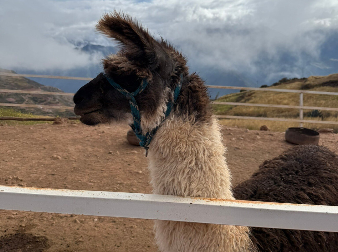 Andean Colors-乌鲁班巴必去景点