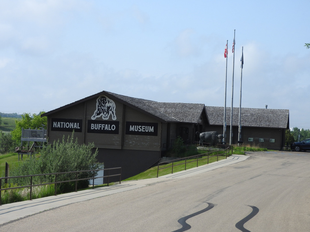 North American Bison Discovery Center-Jamestown必去景点