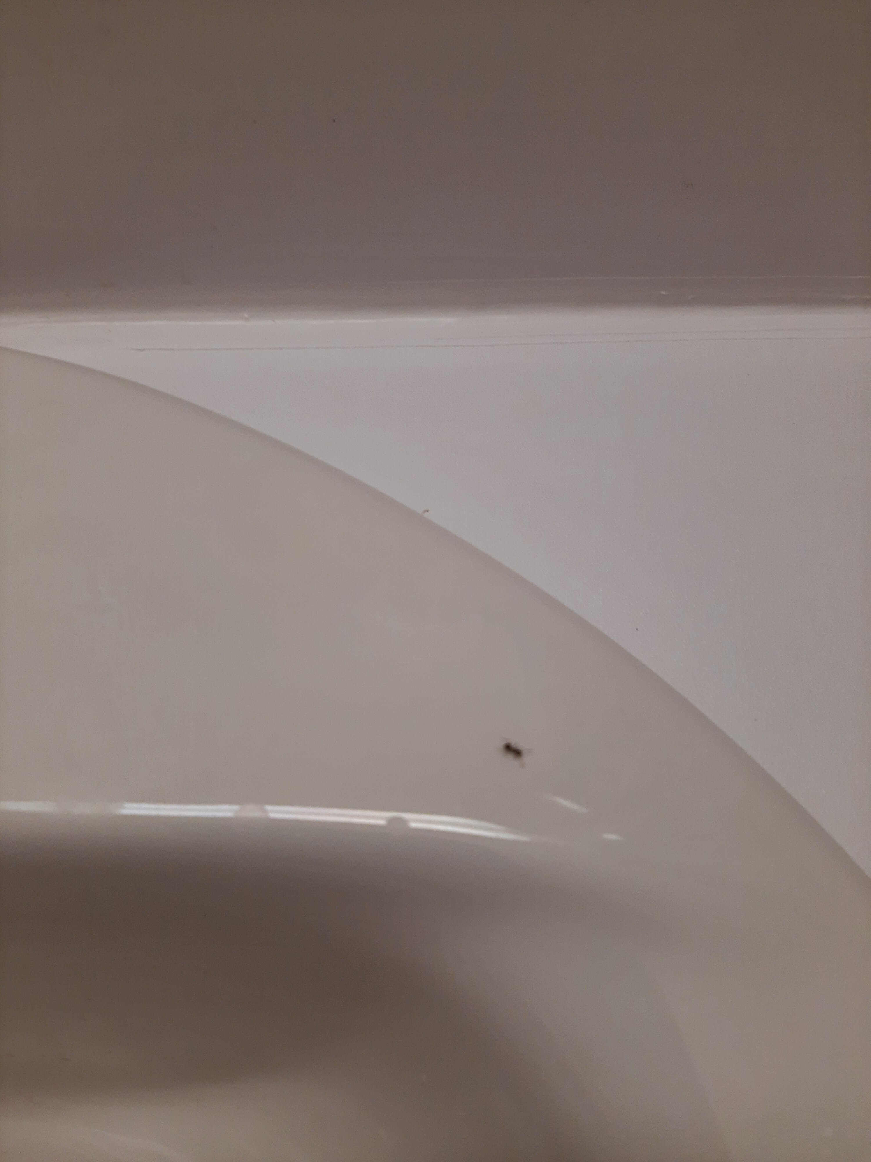 Motel 6 Huntsville-官方