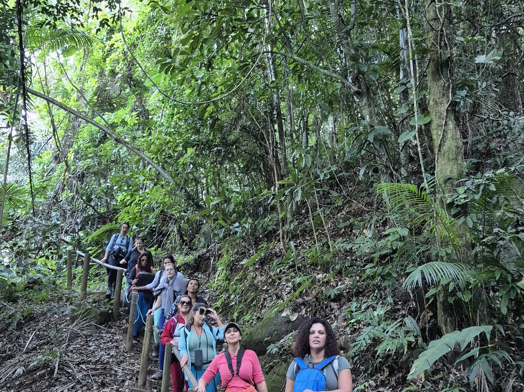 Outer Ecotrip Turismo-里约热内卢必去景点