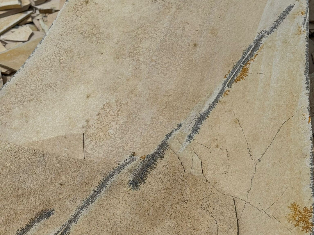 Fossiliensteinbruch Blumenberg-艾希施泰特必去景点
