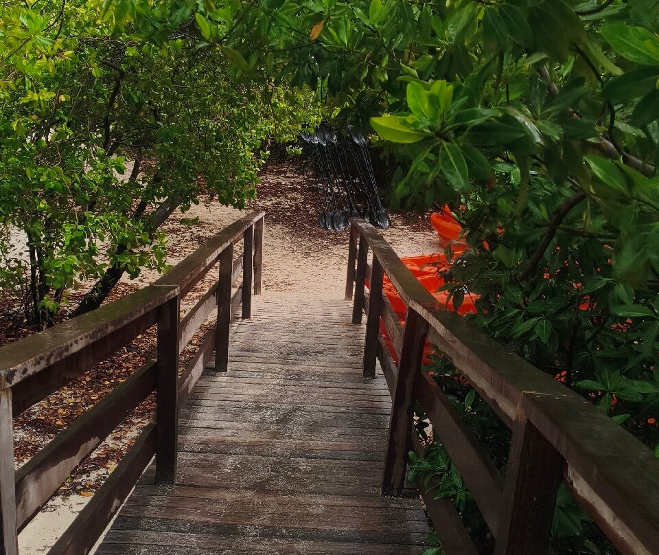 Aruba Mural Tours-San Nicolas必去景点