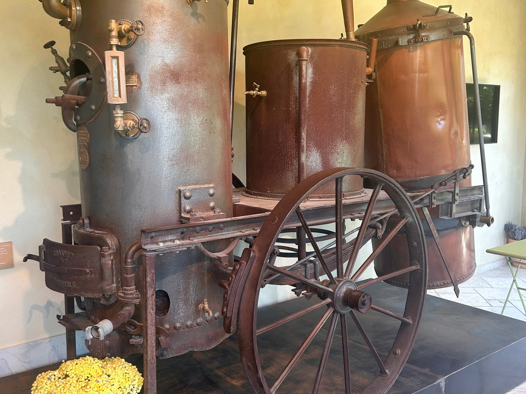 L'Occitane en Provence-马诺斯克必去景点