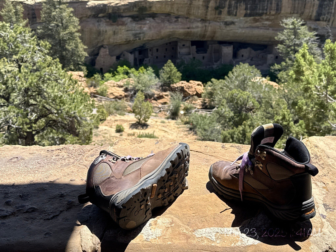 Spruce Tree House-梅萨维德国家公园必去景点